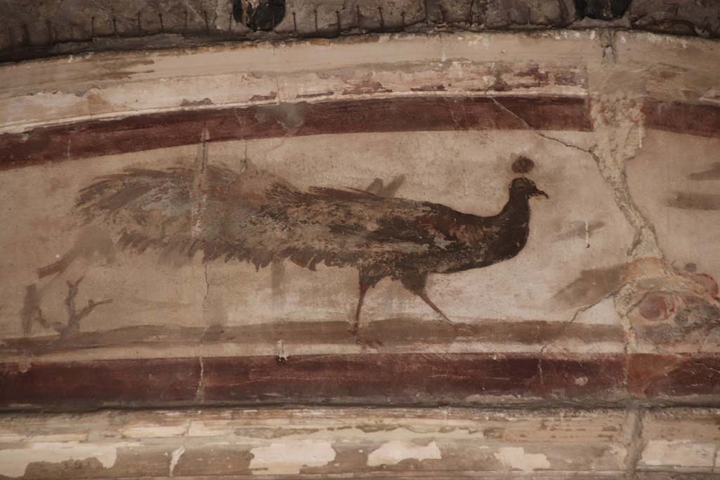 VI.17 Herculaneum. September 2019. Detail from upper centre of north wall of triclinium. Photo courtesy of Klaus Heese.